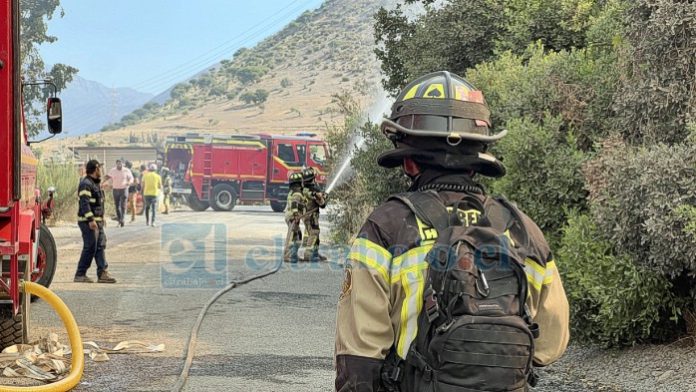 Un total de 140 hectáreas fueron arrasadas por el fuego en incendio forestal en el sector de «El Quebrachal» en Catemu.