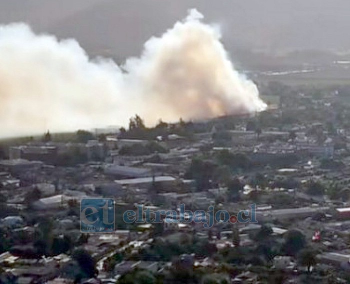 Incendio forestal en Llay Llay logró ser controlado y evitar que alcanzara a viviendas y locales comerciales. 