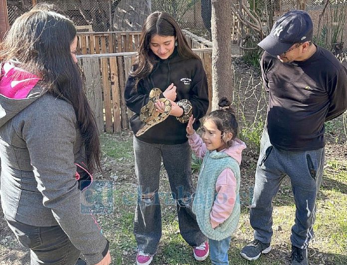 La serpiente destaca dentro de sus animales.