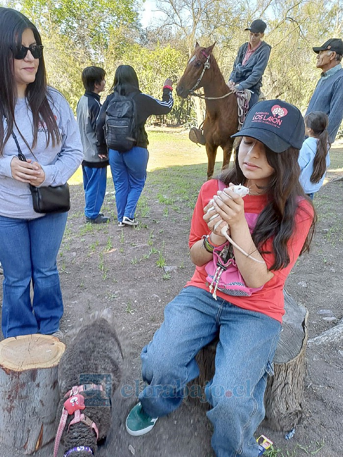 Fundación Los Laion es pionera en el país con su granja educativa para terapias.