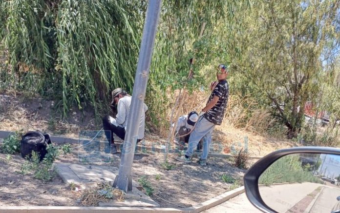 Sujetos que a plena luz del día roban tranquilamente el material eléctrico.