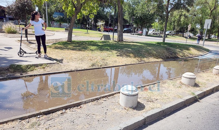 Agua en la Ciclo Vía por Avenida Yungay entre San Martín y Freire.