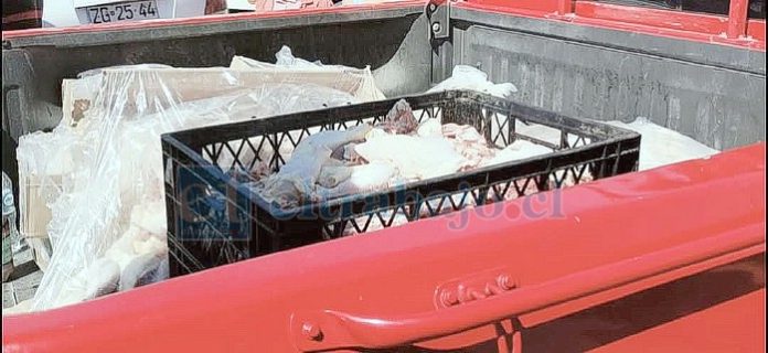 decomiso Incautan más de 200 kilos de carne en mal estado en nueva fiscalización en la feria de Diego de Almagro.
