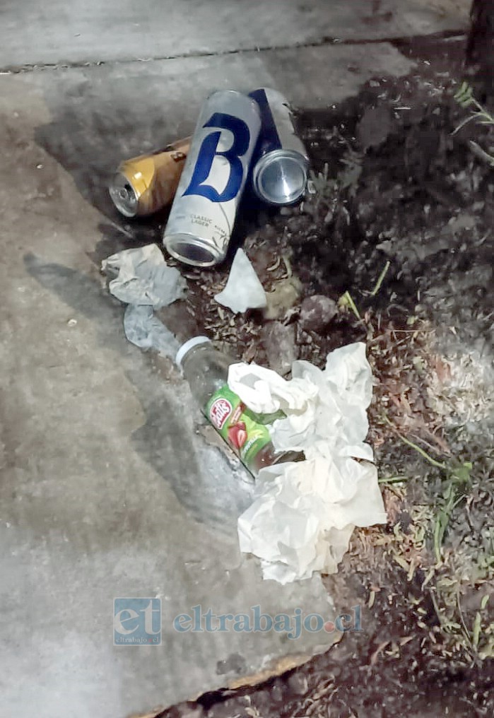 Parte de la basura acumulada en Carlos Condell con Salinas. Entre los desechos se observan latas de cerveza y papel higiénico.