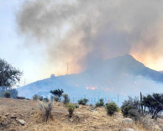 Casi 50 hectáreas consumidas por el fuego dejó nuevo incendio forestal en Catemu.