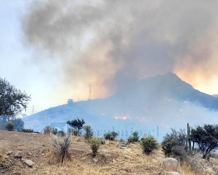 Casi 50 hectáreas consumidas por el fuego dejó nuevo incendio forestal en Catemu. 