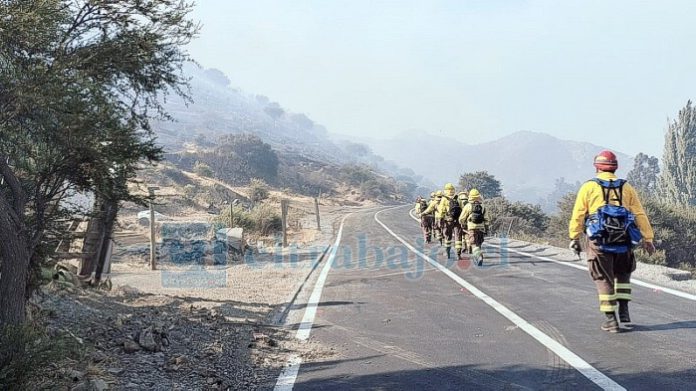 Bomberos de Aconcagua concurrieron a la emergencia.