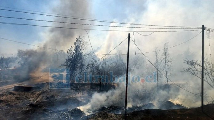 El fuego lamentablemente destruyó 8 viviendas.