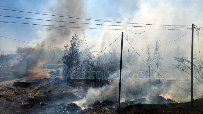 El fuego lamentablemente destruyó 8 viviendas. 