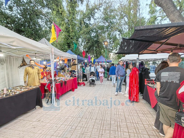 Registro de una de las ferias realizadas por la organización Mundo Antiguo Aconcagua.