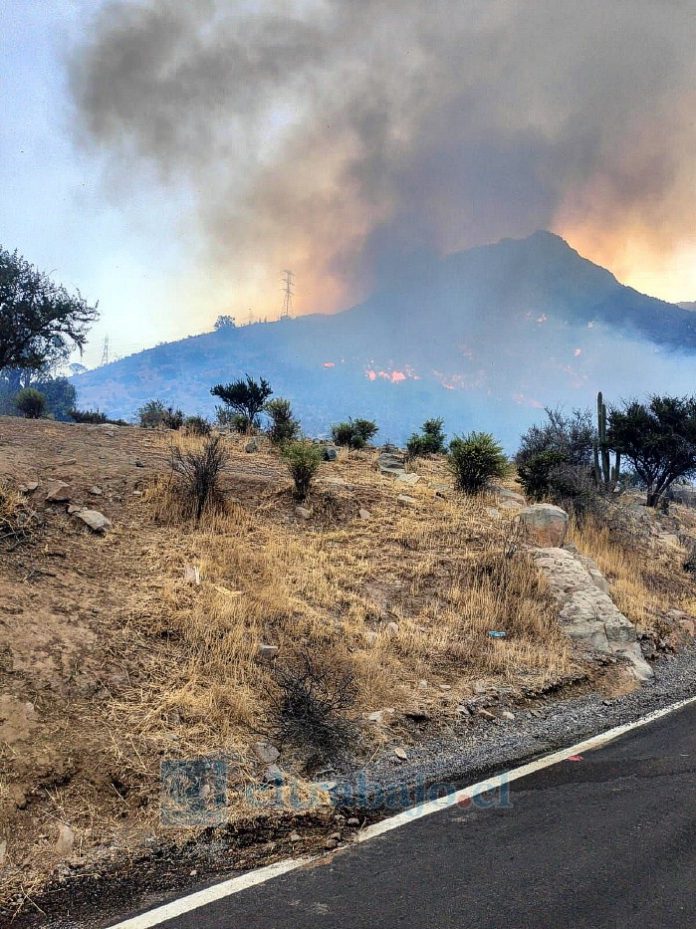 Generarán acciones legales por constantes incendios forestales.