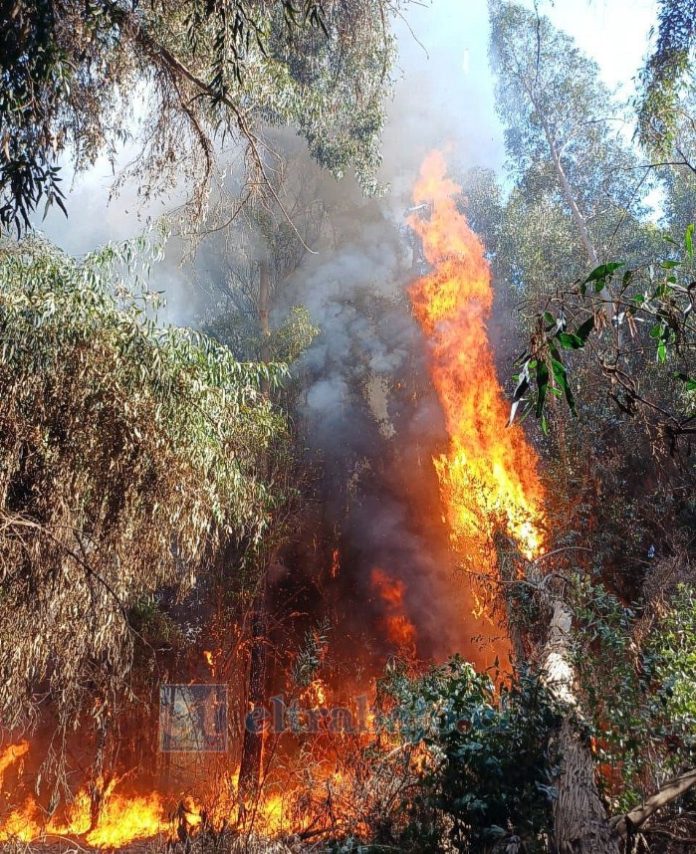 Esta semana se espera que se presente querella por incendios en Catemu.