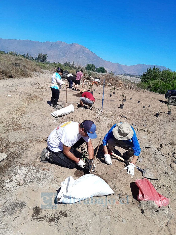 La asamblea territorial de San María ha trabajado con jornadas de limpieza y reforestación.