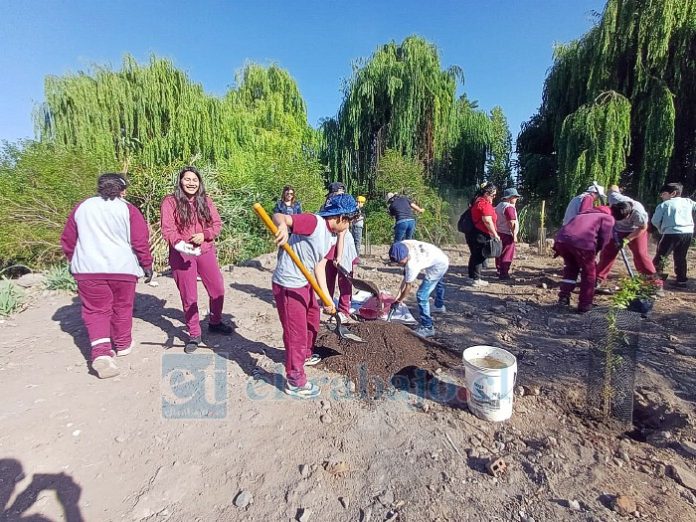 Establecimientos educativos de la localidad han sido parte de los dos proyectos anteriores.