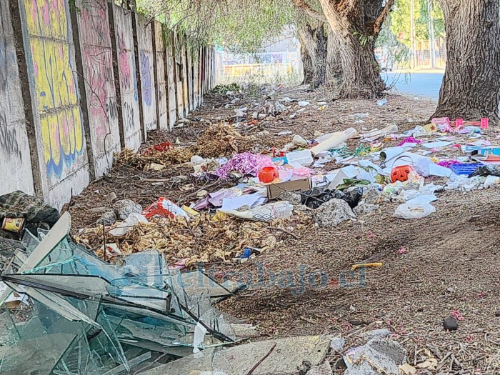 En la imagen se aprecia la gran cantidad de basura (Foto de archivo).