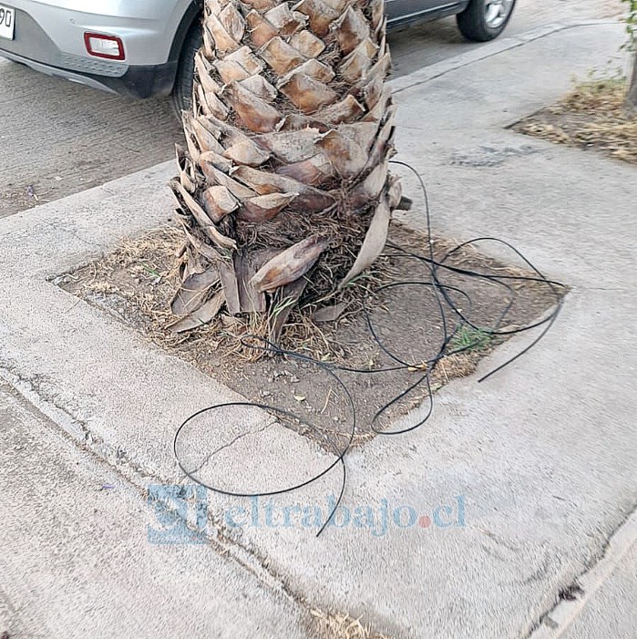 Más del material botado por la villa.