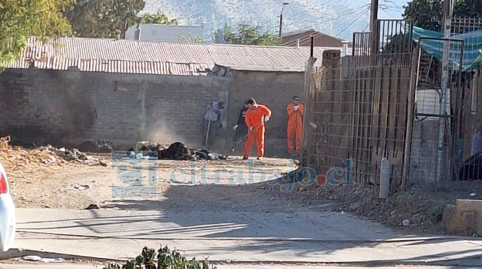 Este lunes 17 de marzo, personal de la Municipalidad de San Felipe asistió al lugar para limpiar el terreno.