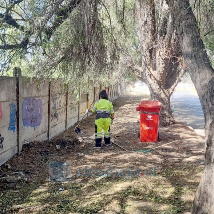 Una operaria de la empresa de aseo realizando labores de limpieza en calle El Molino.