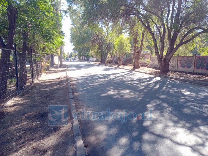 Así ve actualmente Calle El Molino, limpia.