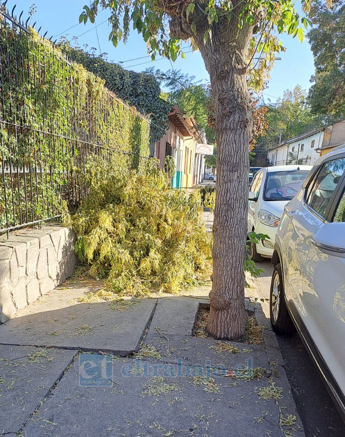 Segundo montón apilado sobre la vereda, también desde Chacabuco a Condell.