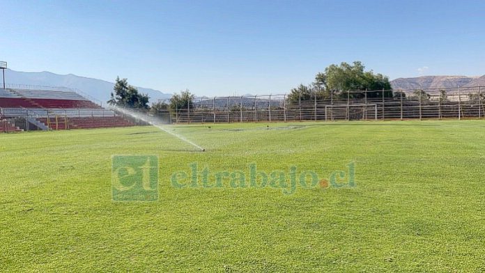 El 31 de marzo comienza la resiembra del Estadio Municipal.