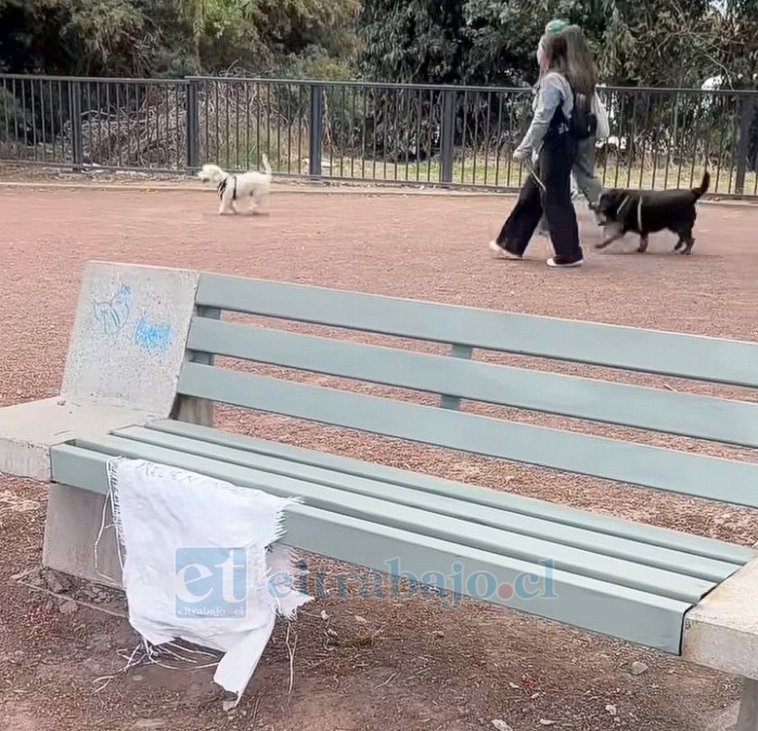 Paseando a sus mascotas en este hermoso lugar.