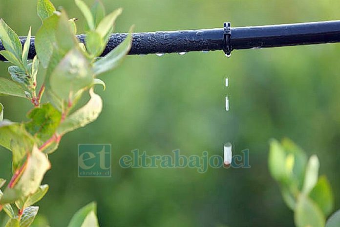 Taller 1 Manejo virtuoso del agua, suelo y planta, aportan al ahorro de los recursos hídricos en la agricultura.