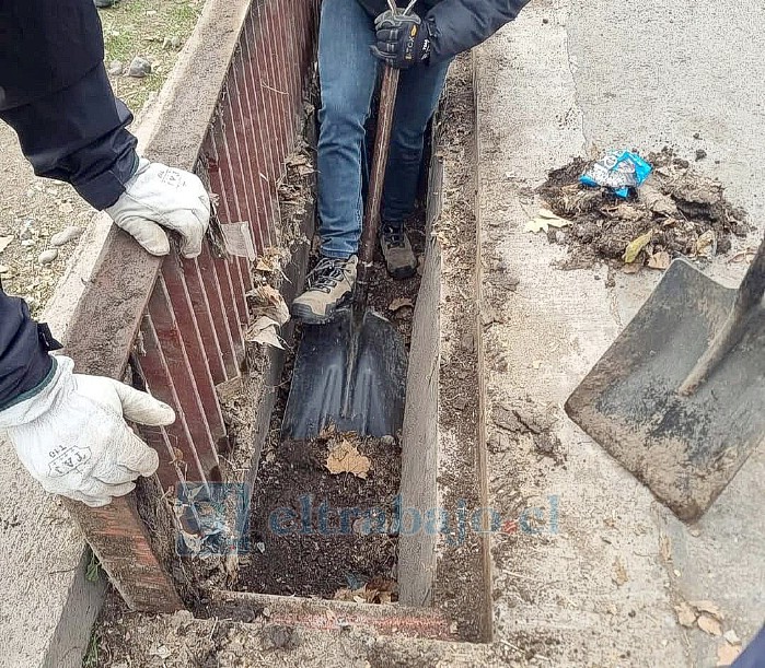 Municipio de San Felipe realiza labores preventivas por la lluvia del jueves.