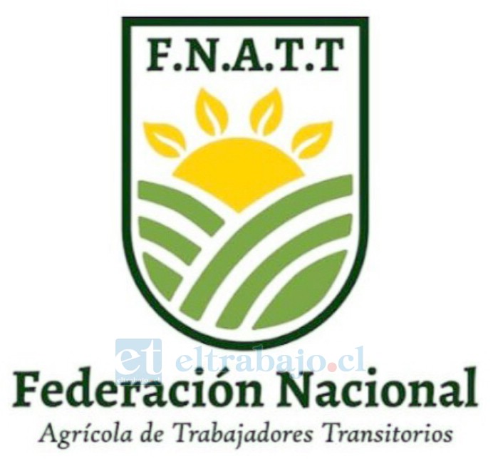 Este es el logo oficial de F.N.A.T.T.