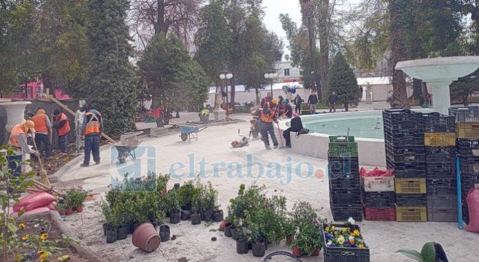 Personal de aéreas verdes colocando plantas alrededor de la pileta.