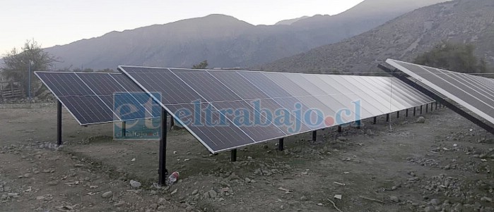 Los paneles solares de la planta fotovoltaica.