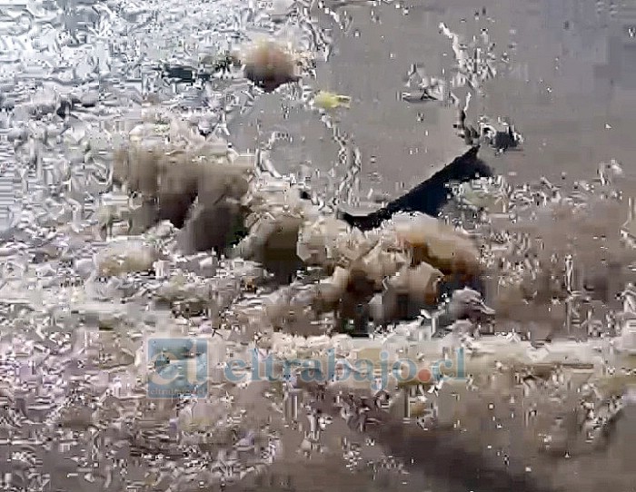 El agua filtrando por la rotura de matriz.