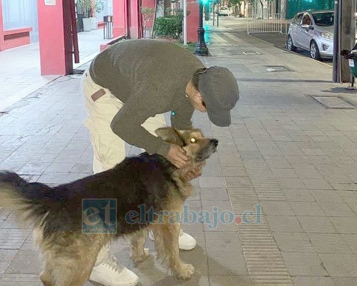 La joven siempre cuenta con apoyos desinteresados para su fundación.