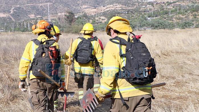 Brigadistas trabajando en una emergencia. Comenzó plazo de postulación para ser brigadista de Conaf (Imagen de archivo).