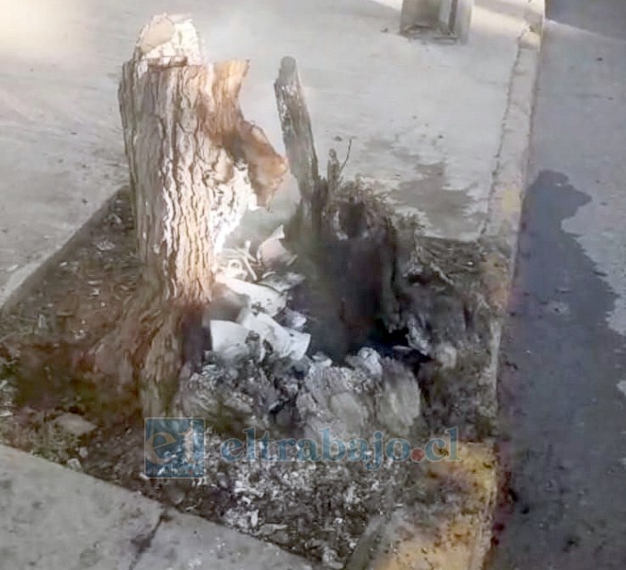‘Cuidadores de autos’ que se instalan en el lugar incluso han llegado a quemar un árbol frente a la casa de una adulta mayor del sector.