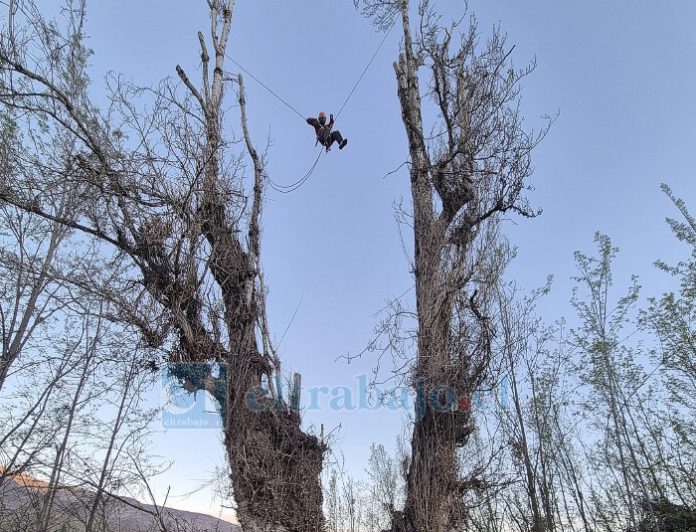 La jornada incluirá diversas actividades, entre ellas un taller de escalada en árboles.