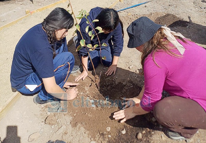 El lugar ha sido escenario de jornadas de reforestación y educación ambiental, desarrolladas junto a voluntarios y estudiantes de distintos establecimientos de la comuna.