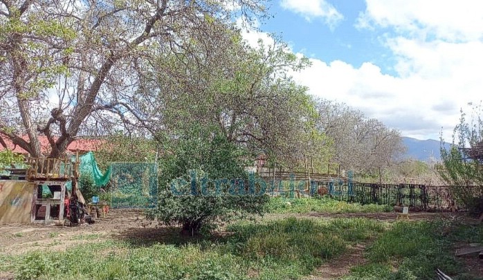 El objetivo de la campaña es mejorar y ampliar las instalaciones del refugio, con el fin de recibir a más canes en situación de vulnerabilidad.