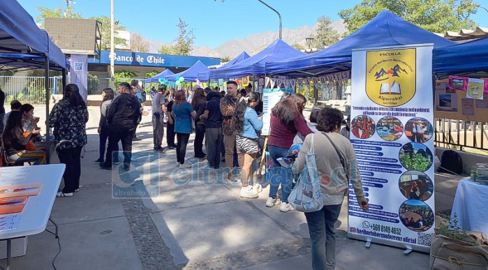 Diversos establecimientos participaron de esta Feria Científica. 