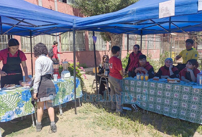 Jugos naturales, queques, alfajores artesanales, productos de belleza, plantas, figuras de yeso e hidrogeles para el cuidado de las plantas, fueron algunos de los emprendimientos presentados por los estudiantes.