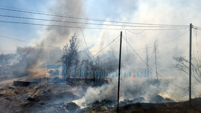 Delegación Provincial, Conaf y municipios coordinan planes preventivos de incendios forestales. 