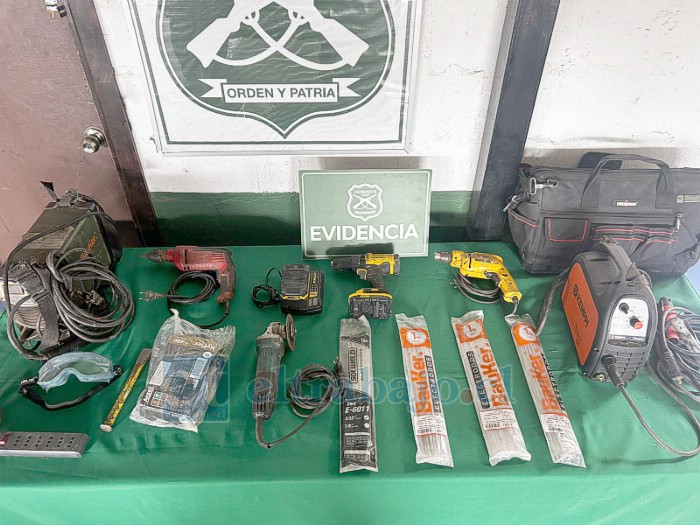 Carabineros recuperó todas las especies que eran robadas desde un predio agrícola.