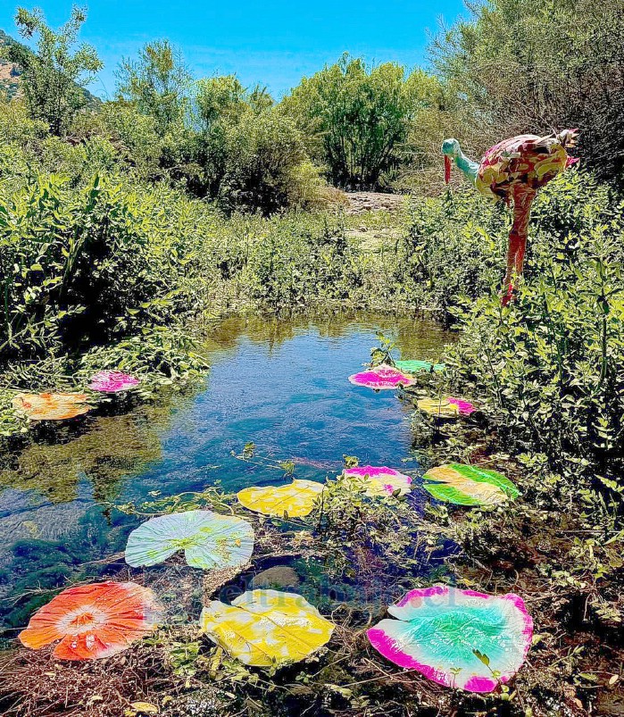 Este fue el proyecto que realizó la Escuela de Lenguaje Cumbres de Aconcagua, con el que obtuvo el primer lugar en su categoría.