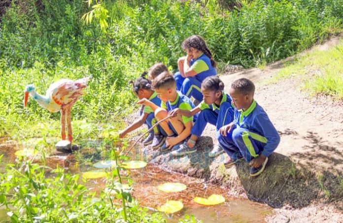 El establecimiento fue el único del Valle de Aconcagua en recibir este reconocimiento, entre más de 400 trabajos postulantes.