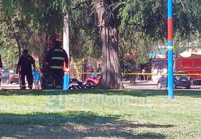 Trágica escena. Una persona fue encontrada fallecida en un árbol de alameda Yungay con Circunvalación.