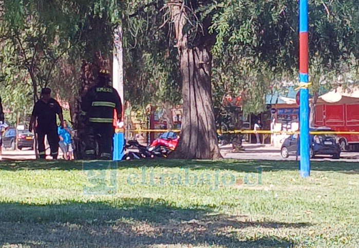 Trágica escena. Una persona fue encontrada fallecida en un árbol de alameda Yungay con Circunvalación.