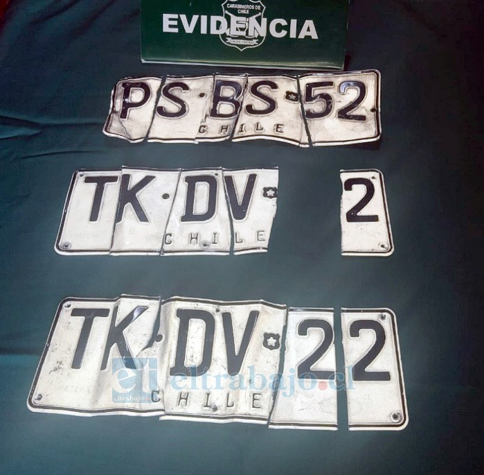 Vehículos tenían encargo por robo desde la Región Metropolitana. 