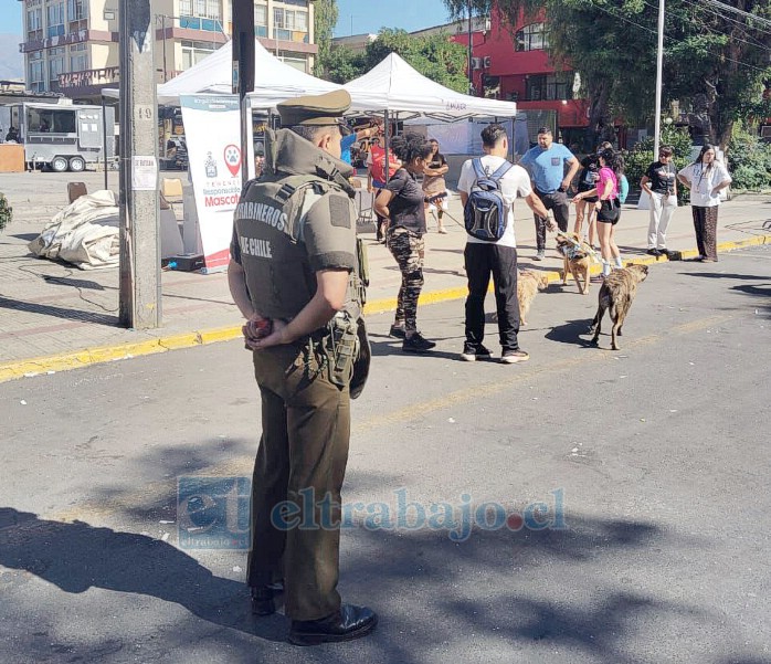 Efectivos policiales en el despliegue en el show de la Teletón. 