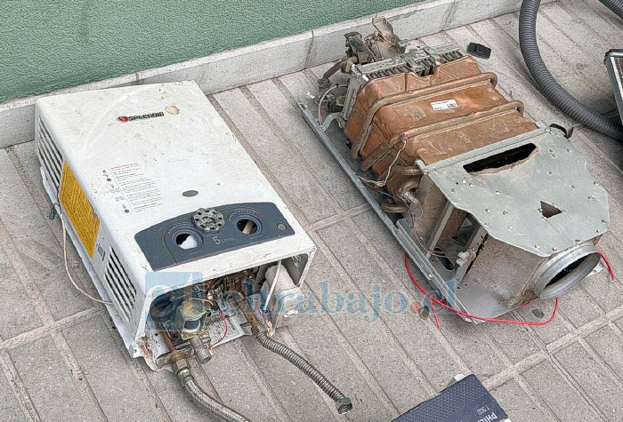 Parte de las especies recuperadas.