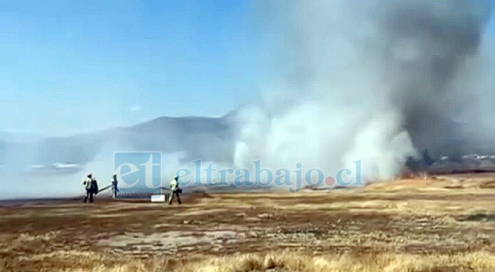 Bomberos trabajó arduamente para controlar la emergencia (foto: bombaaconcagua). 